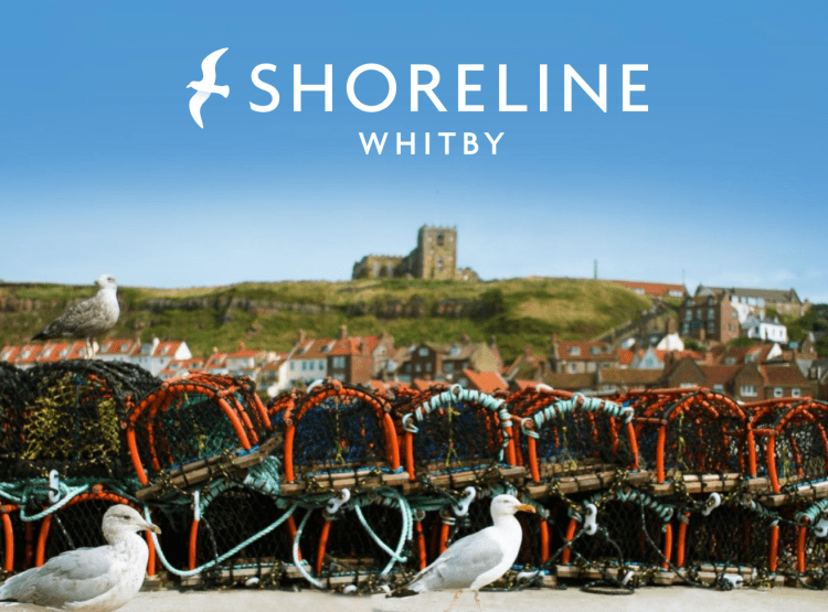 Freelance marketing work for holiday let company Shoreline Whitby.
